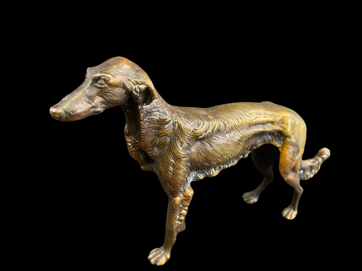 Bronzo raffigurante un cane-photo-3