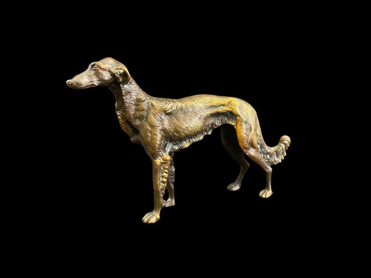 Bronzo raffigurante un cane