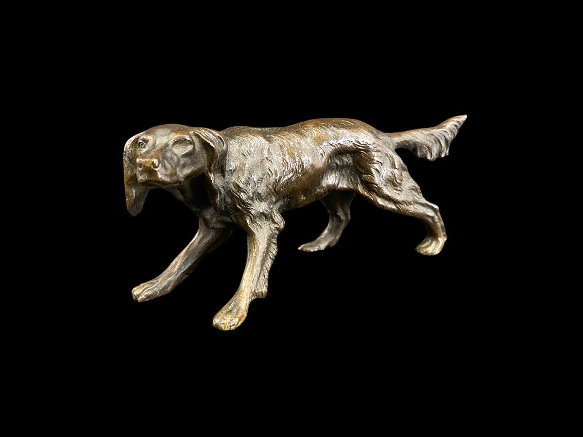 Bronzo raffigurante un cane