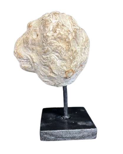 testa di leone in marmo bianco-photo-1