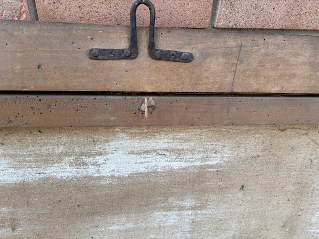 coppia di dipinti a tempera con cornici coeve-photo-6