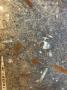 1773882-alb-6a253daf97a5c.jpg