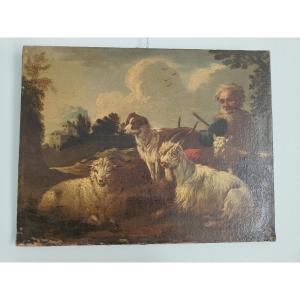 Dipinto olio su tela "Rosa da Tivoli"