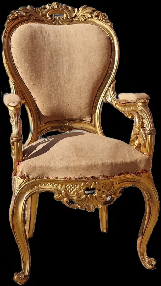 Salotto nobiliare intagliato e dorato, stile Carlo X – XIX secolo-photo-3