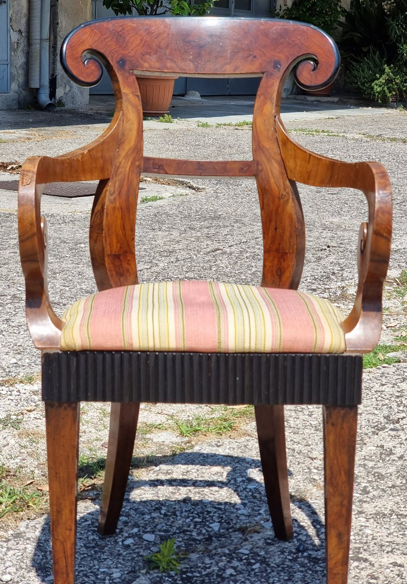 Set di quattro sedie e due poltrone Carlo X – Veneto, ca. 1830-photo-4