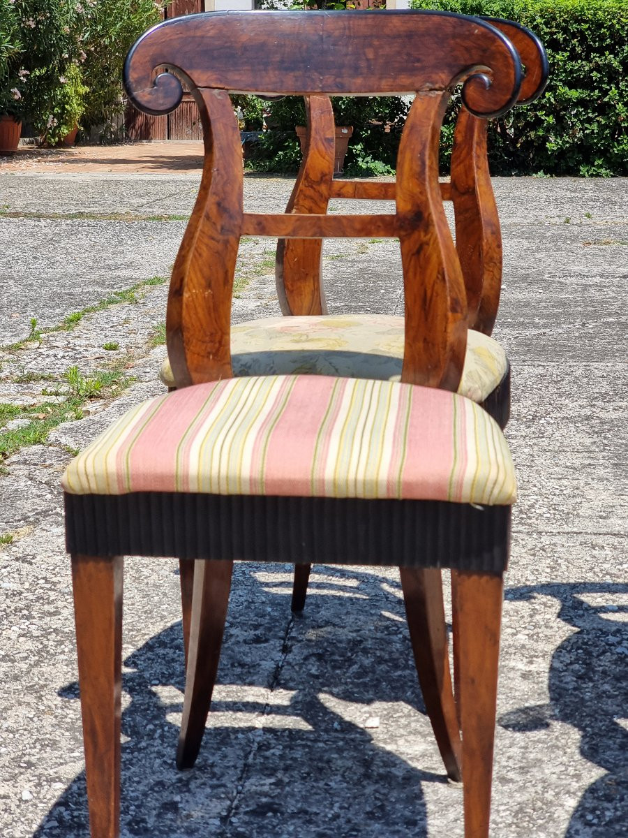 Set di quattro sedie e due poltrone Carlo X – Veneto, ca. 1830-photo-6
