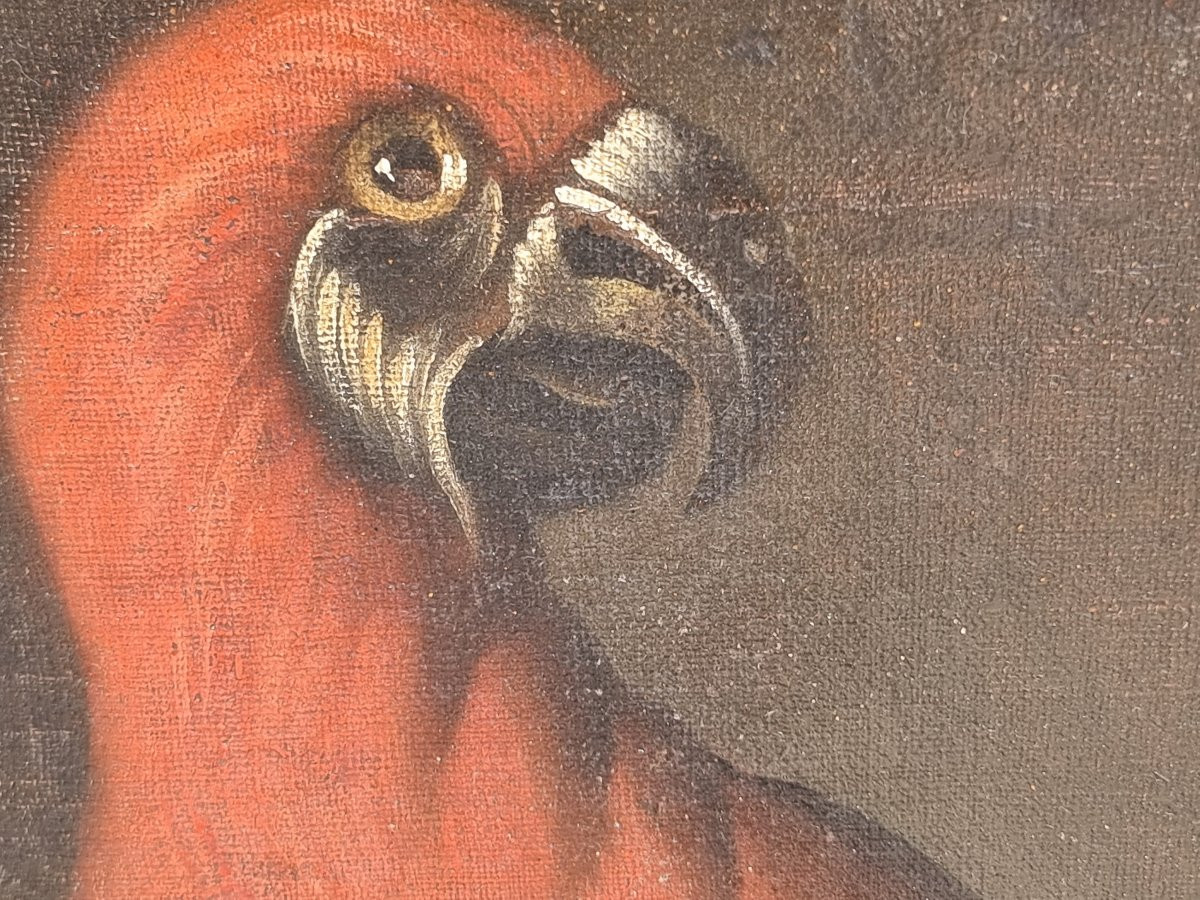 Coppia di nature morte con strumenti musicali, frutta e animali esotici – Scuola lombarda, fine-photo-2