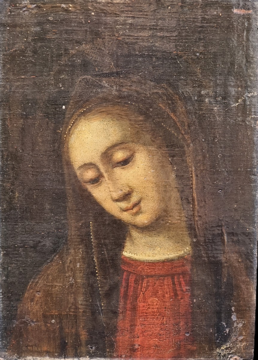 Madonna in preghiera, scuola fiamminga, metà XVII secolo