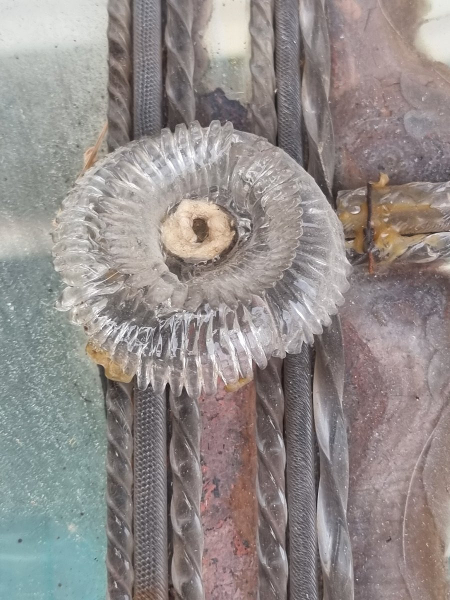 Specchiera veneziana in vetro inciso con fiori applicati, fine XIX – inizi XX secolo-photo-8