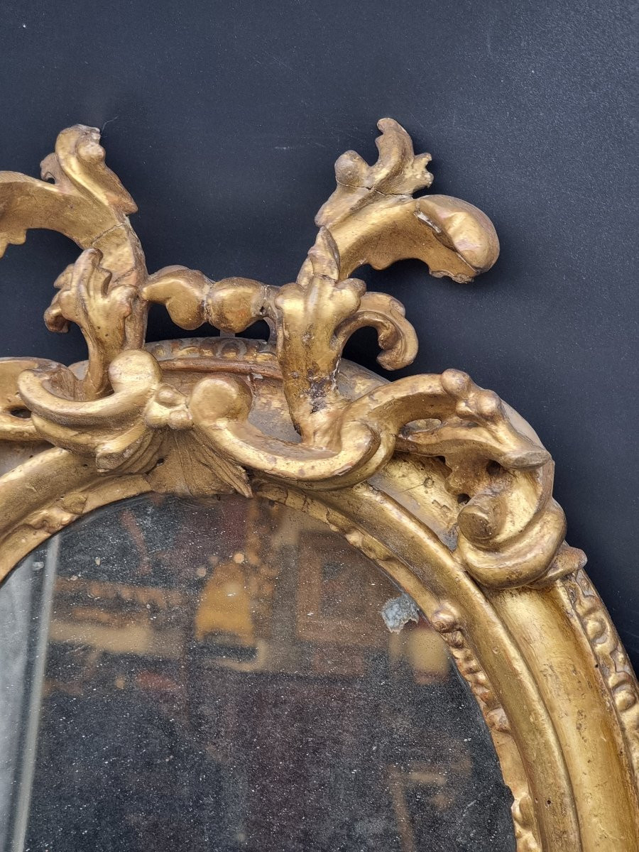 Cornice ovale intagliata e dorata – Bologna, inizi XVIII secolo-photo-2