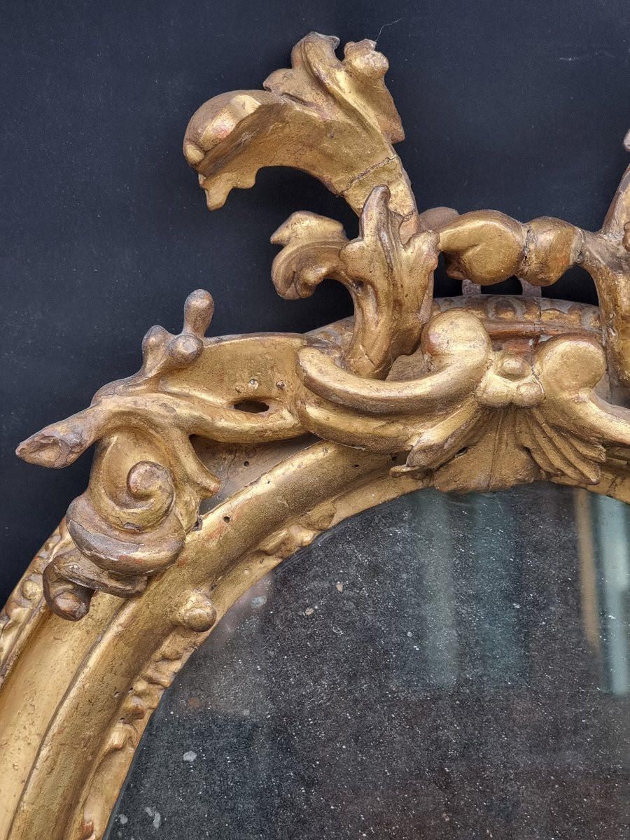 Cornice ovale intagliata e dorata – Bologna, inizi XVIII secolo-photo-4