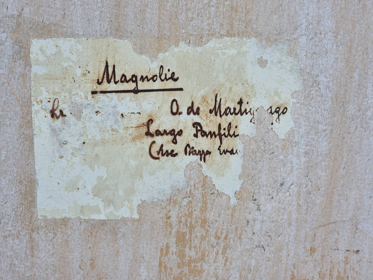 Martignago Otti (Trieste), Magnolie, 1948-photo-2