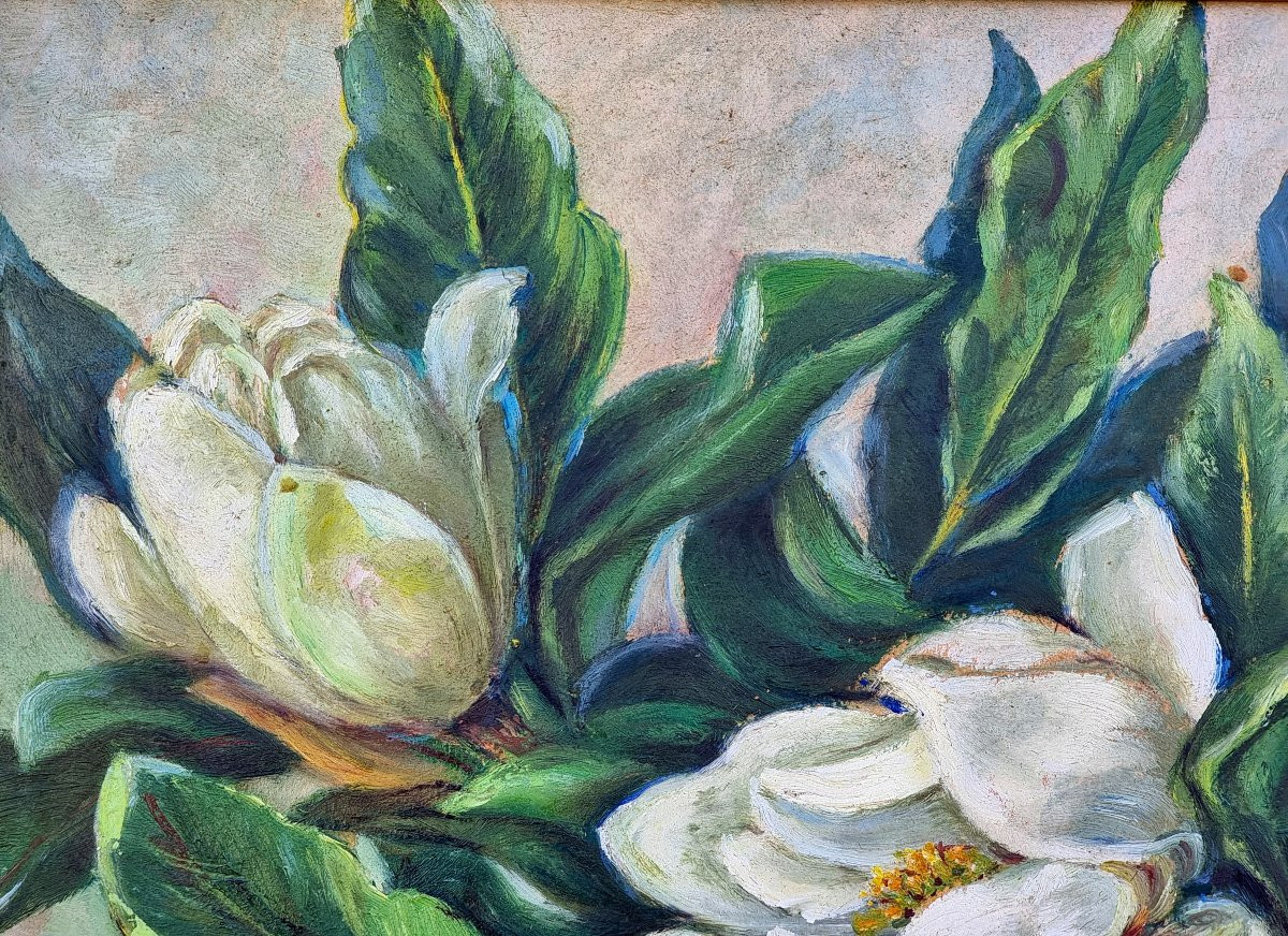 Martignago Otti (Trieste), Magnolie, 1948-photo-2