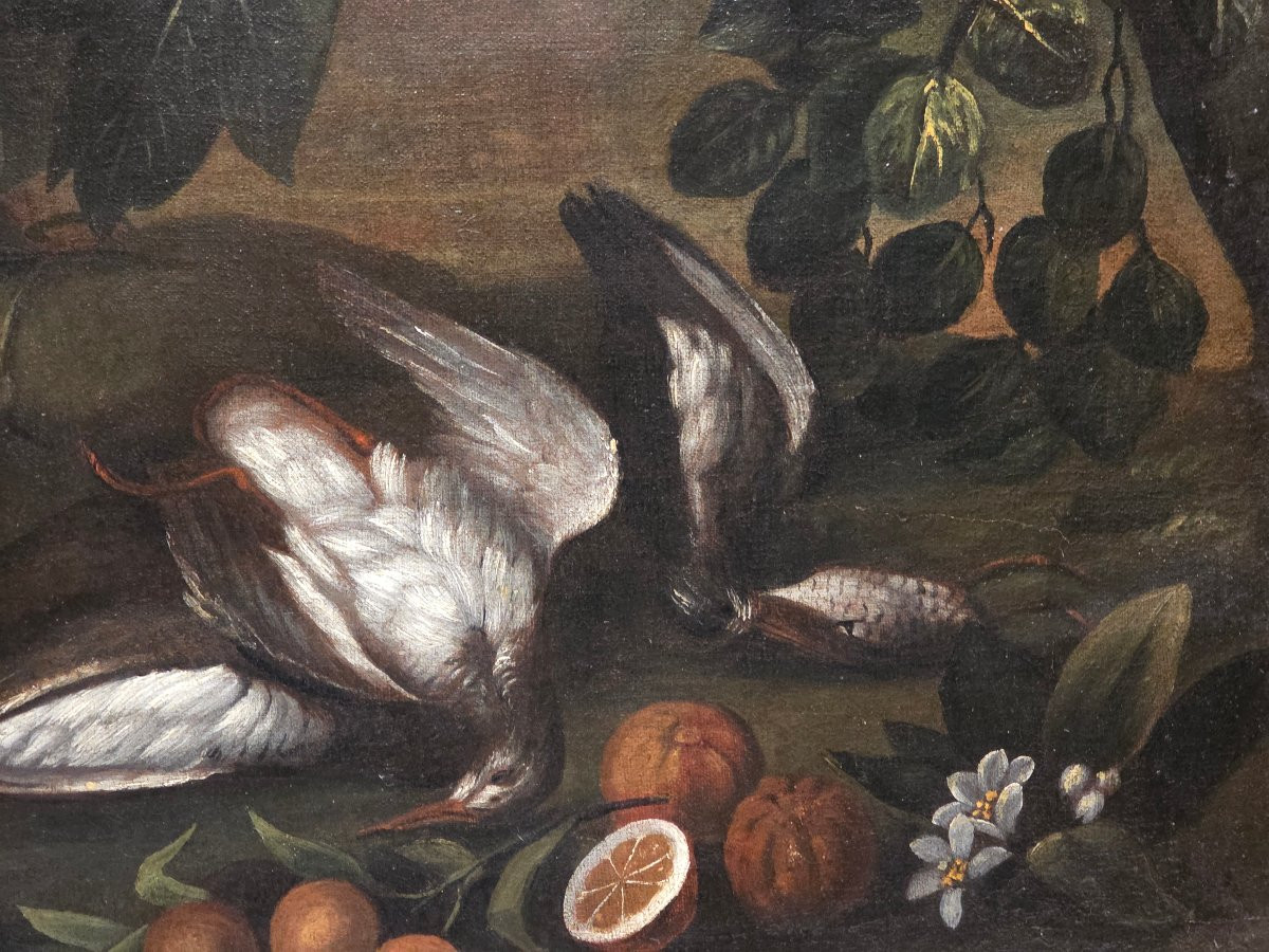 Coppia di grandi nature morte di caccia – Scuola emiliana del XVII secolo, olio su tela-photo-6