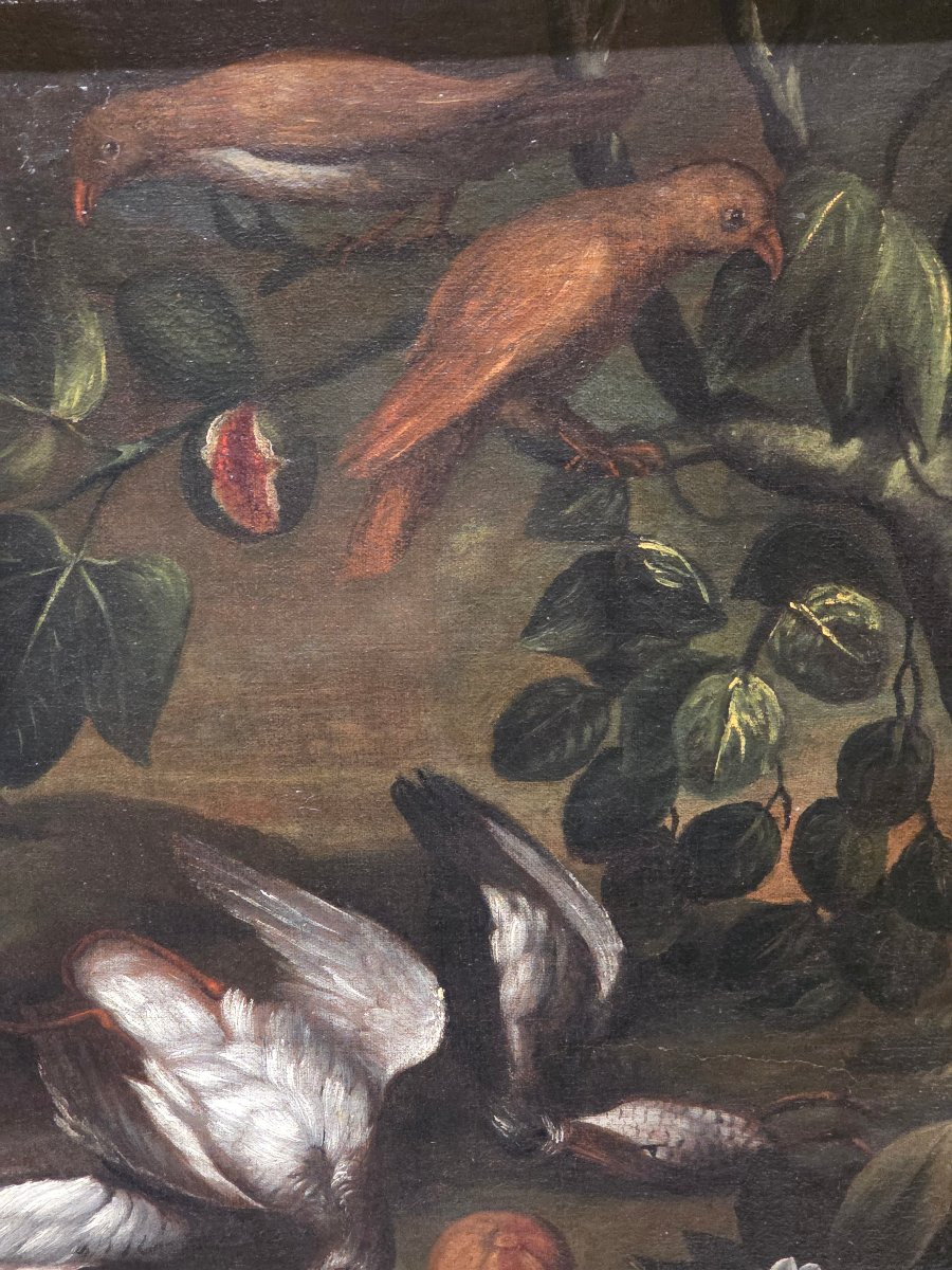 Coppia di grandi nature morte di caccia – Scuola emiliana del XVII secolo, olio su tela-photo-8