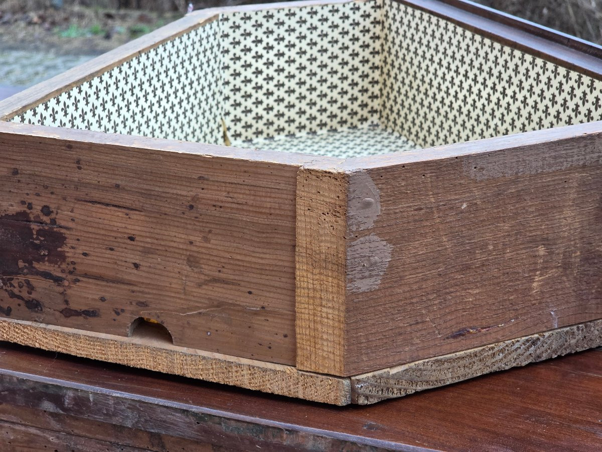 Credenza scantonata veneta in arte povera, legno di frutto, fine XIX secolo-photo-6