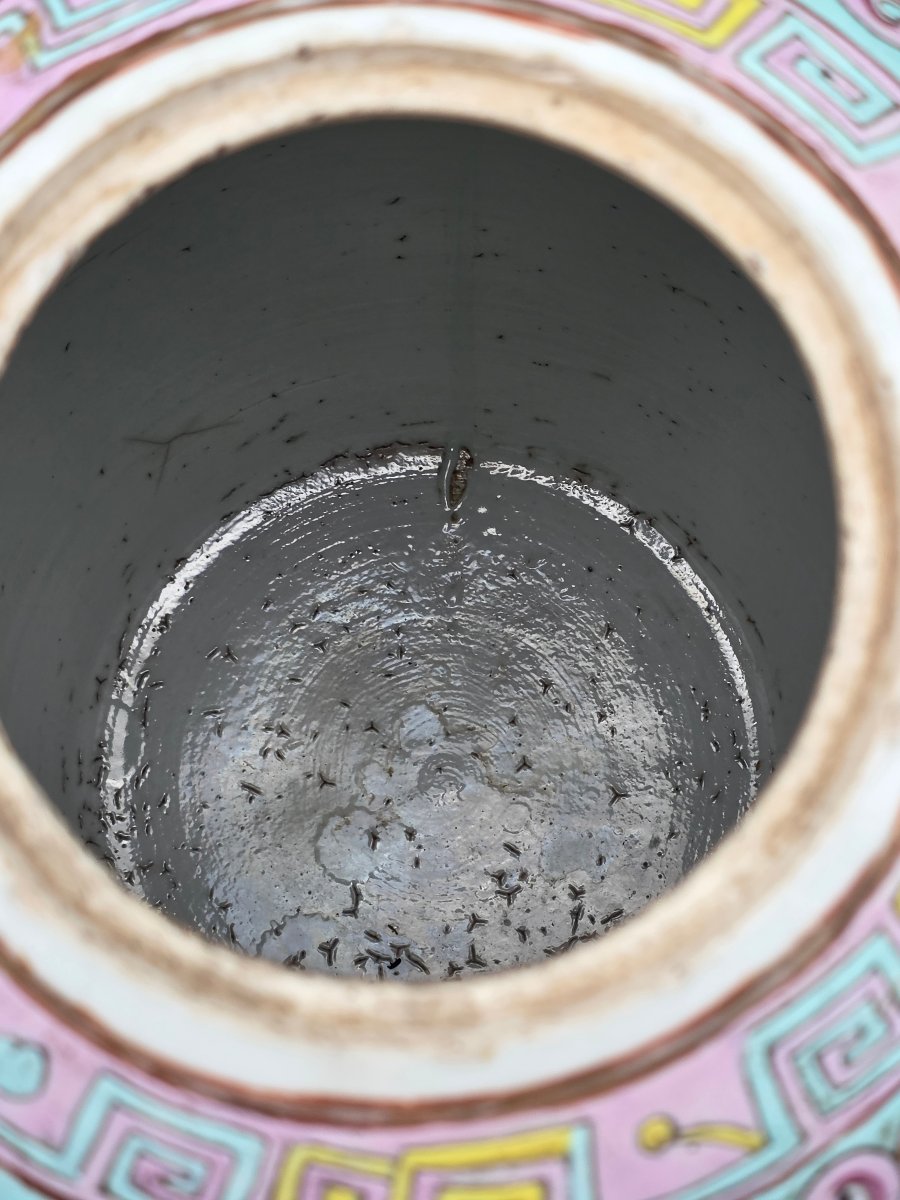 Grande vaso potiche cinese in porcellana dipinta con coperchio – prima metà XX secolo-photo-2