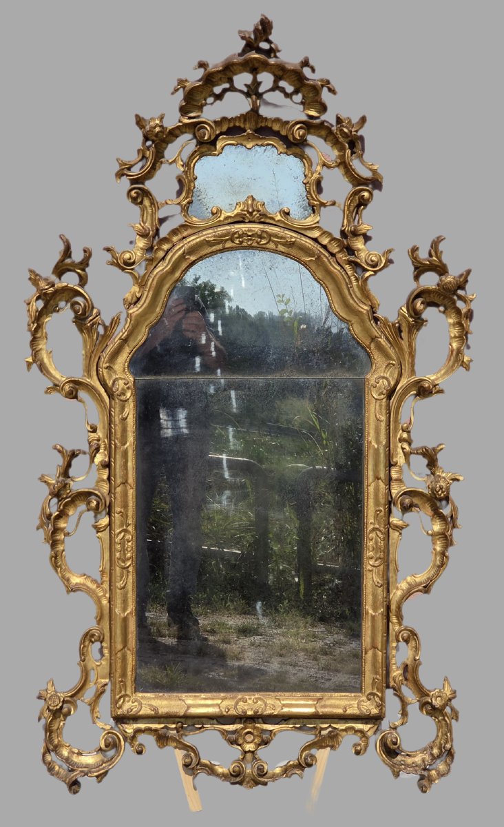 Grande specchiera veneziana intagliata e dorata in stile rococò, fine XIX – inizi XX secolo