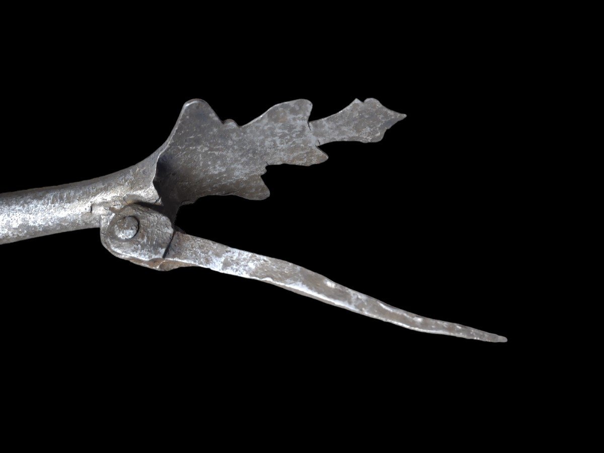 Grande battiporta in ferro forgiato zoomorfo XVII secolo-photo-2