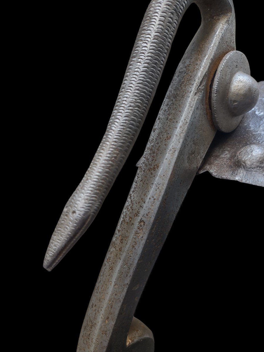 Battiporta zoomorfo in ferro forgiato XVII secolo-photo-3