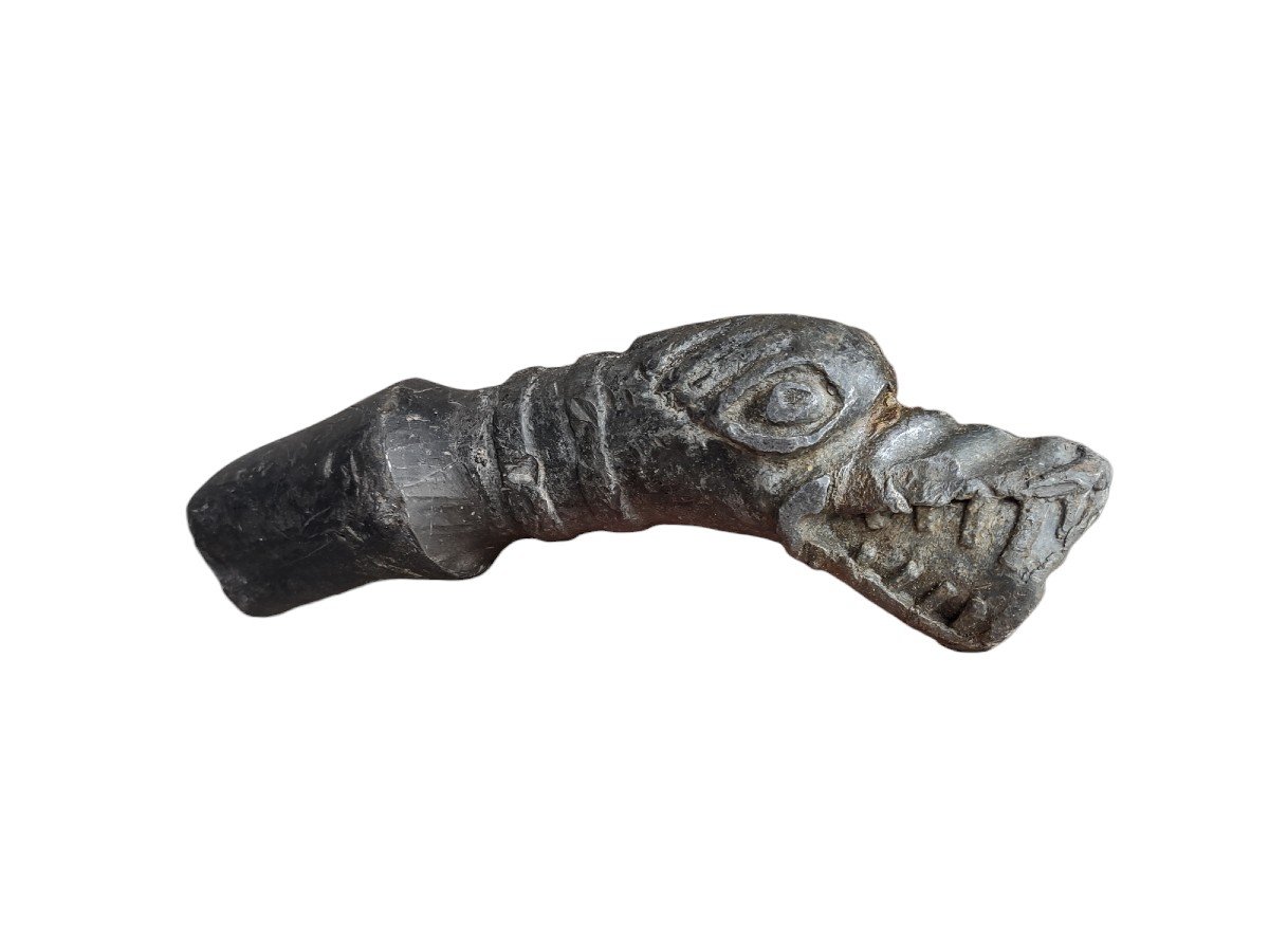 Bocca di fontana zoomorfa proveniente da un castello tedesco XVI secolo-photo-7