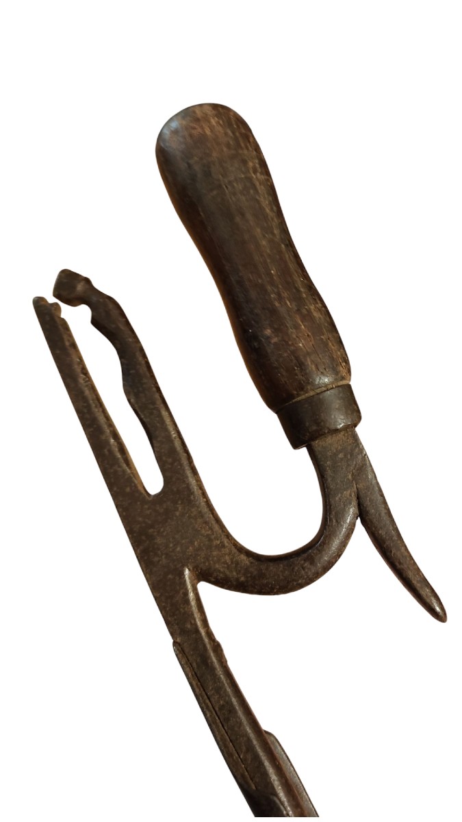 Attrezzo zoomorfo da maniscalco -photo-2