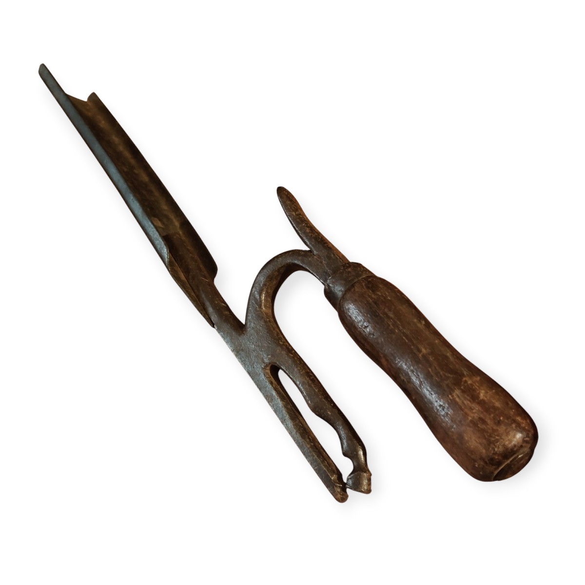 Attrezzo zoomorfo da maniscalco 