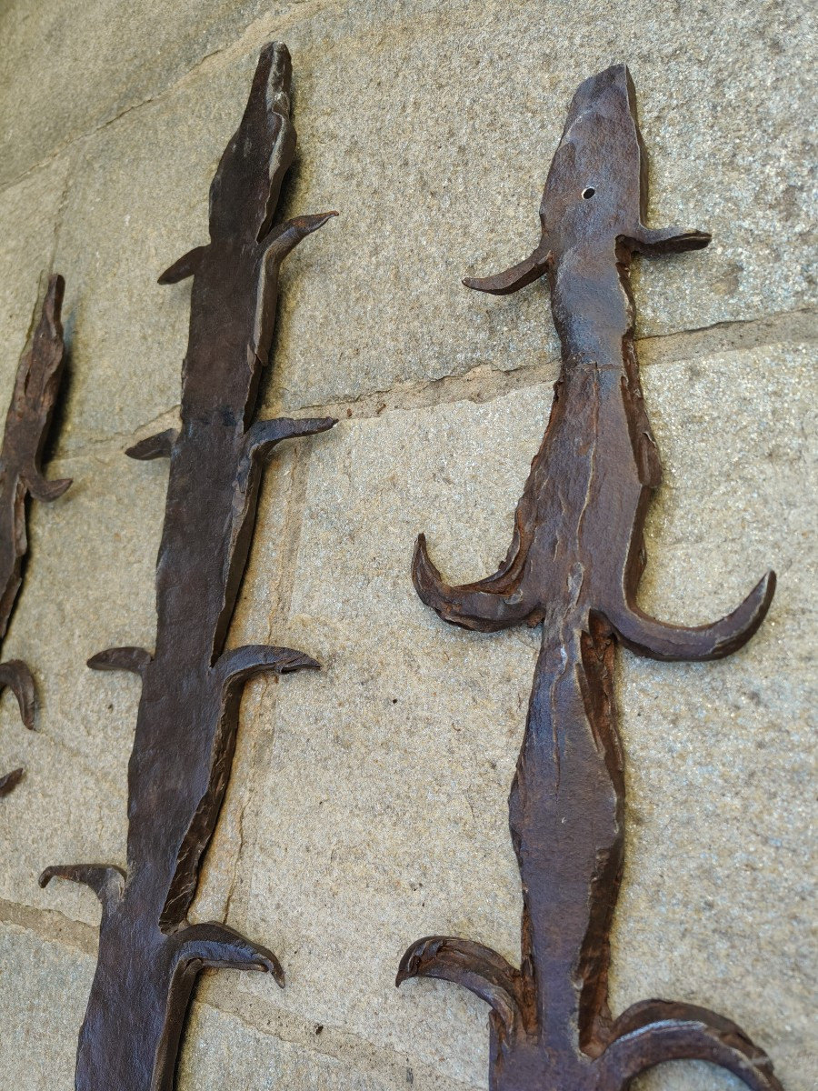 Imponenti pelagatti in ferro forgiato Lombardia XVI secolo-photo-4