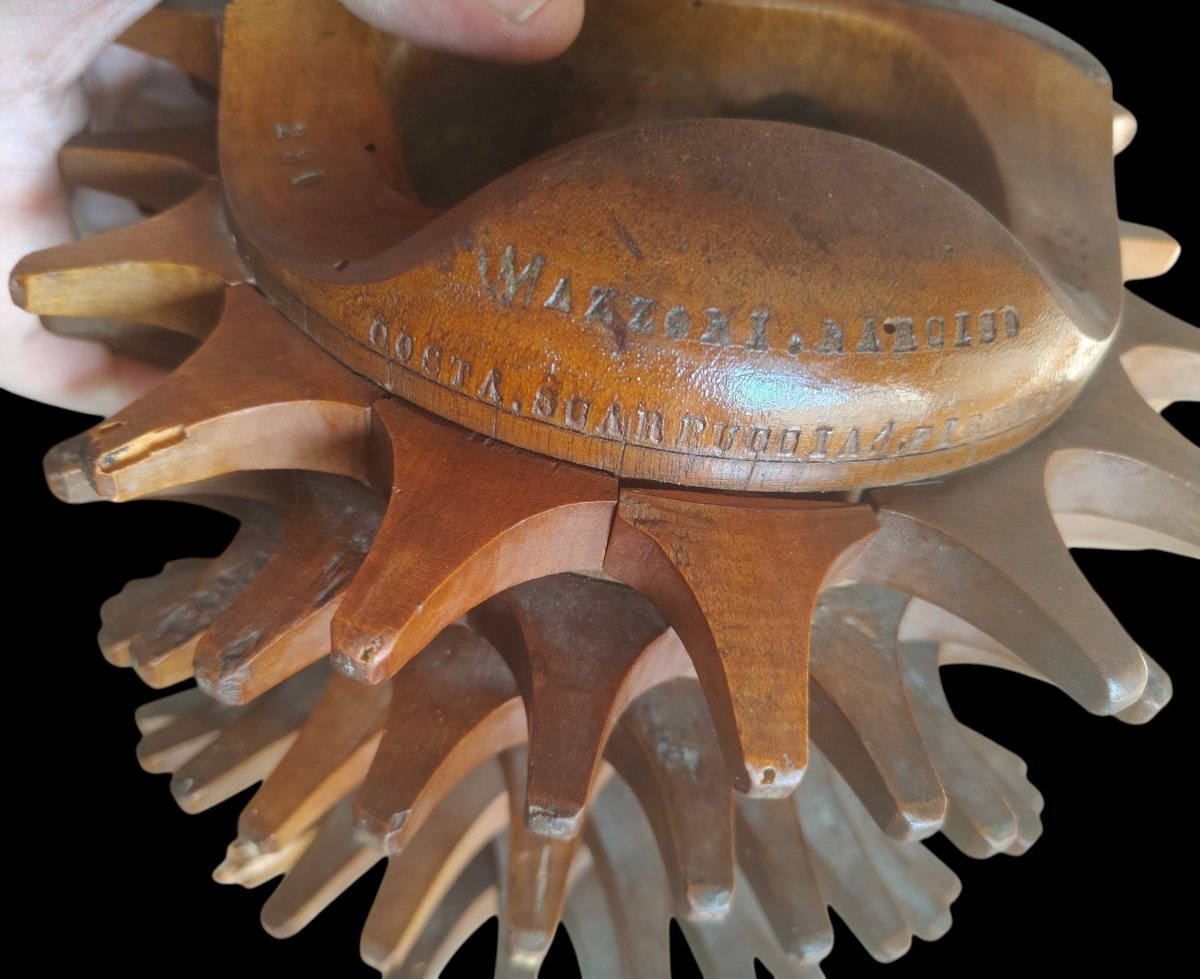 Bel bracciale per il gioco del pallone datato Firenze 1911-photo-5