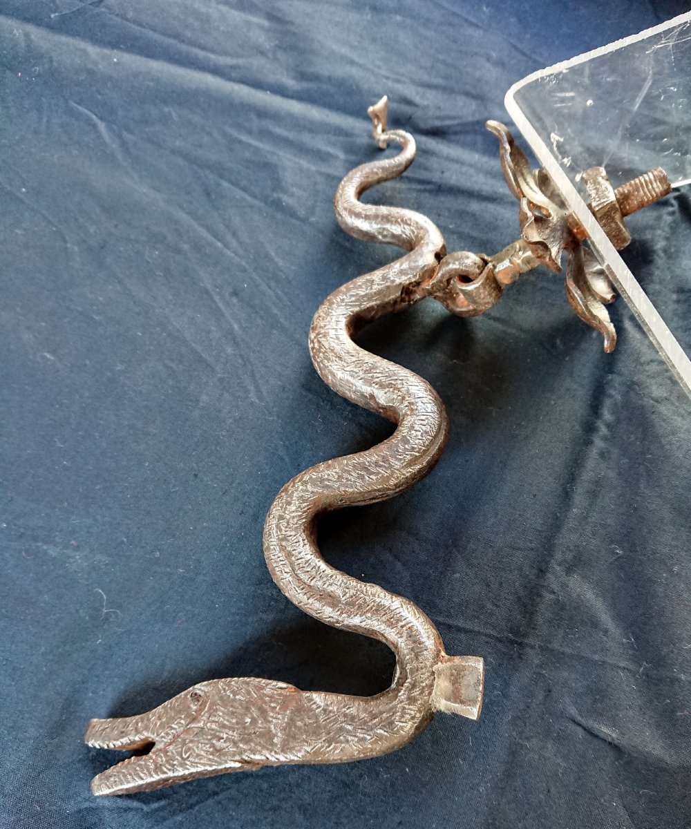 Gros Heurtoir Zoomorphe Fer Forgé XVIIIe Siècle-photo-5