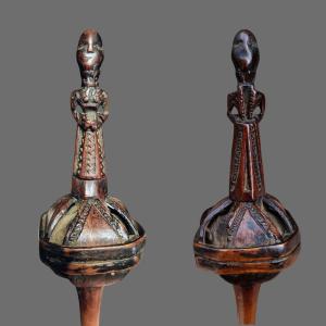 Rara conocchia calabrese