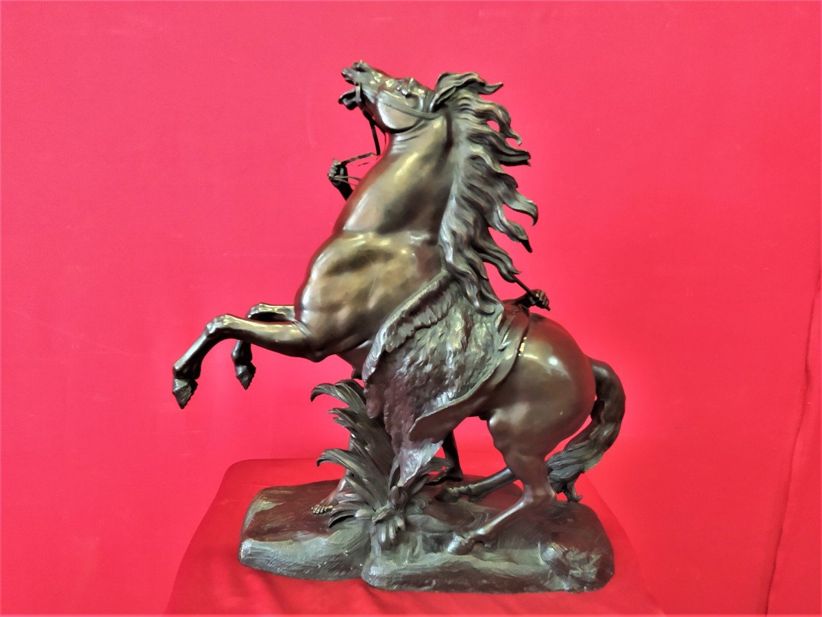 Cavallo in Bronzo firmato Coustou-photo-1