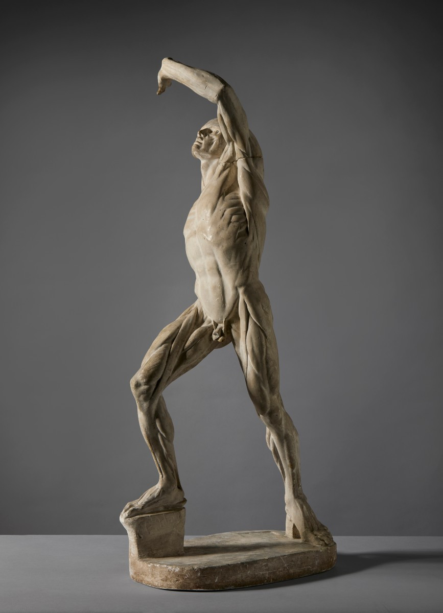 Da Jacques - Eugène Caudron ( 1818-1865) -  “Ecorchè” Scorticato con braccio alzato-photo-4