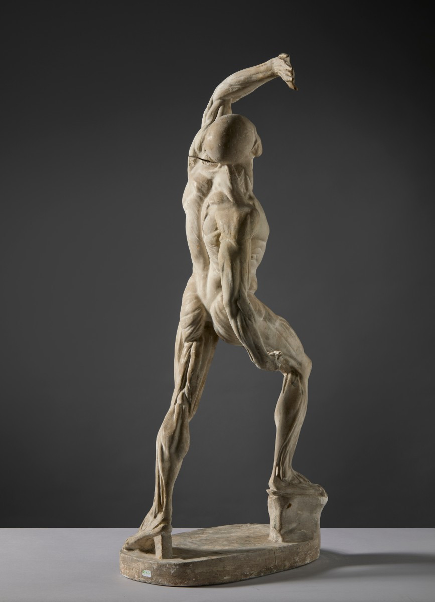 Da Jacques - Eugène Caudron ( 1818-1865) -  “Ecorchè” Scorticato con braccio alzato-photo-1