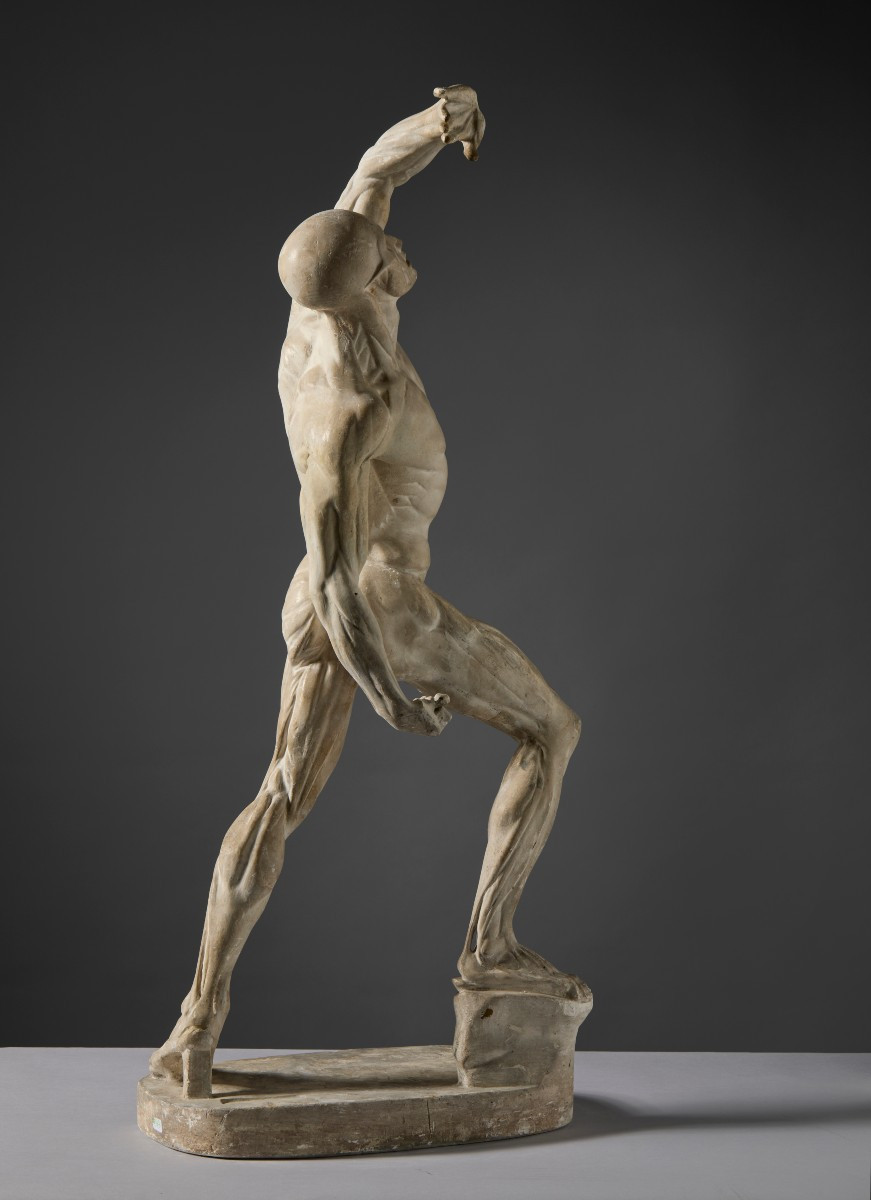 Da Jacques - Eugène Caudron ( 1818-1865) -  “Ecorchè” Scorticato con braccio alzato-photo-2