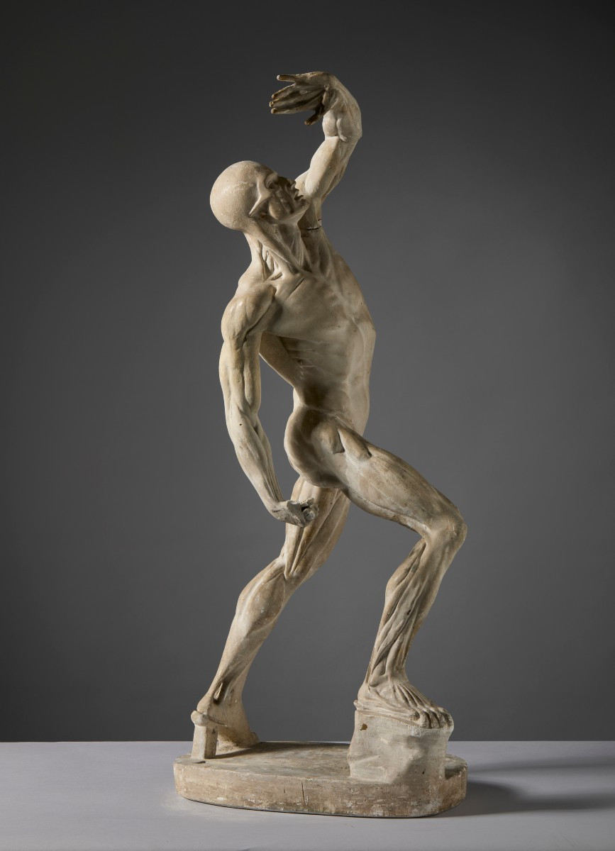 Da Jacques - Eugène Caudron ( 1818-1865) -  “Ecorchè” Scorticato con braccio alzato-photo-3