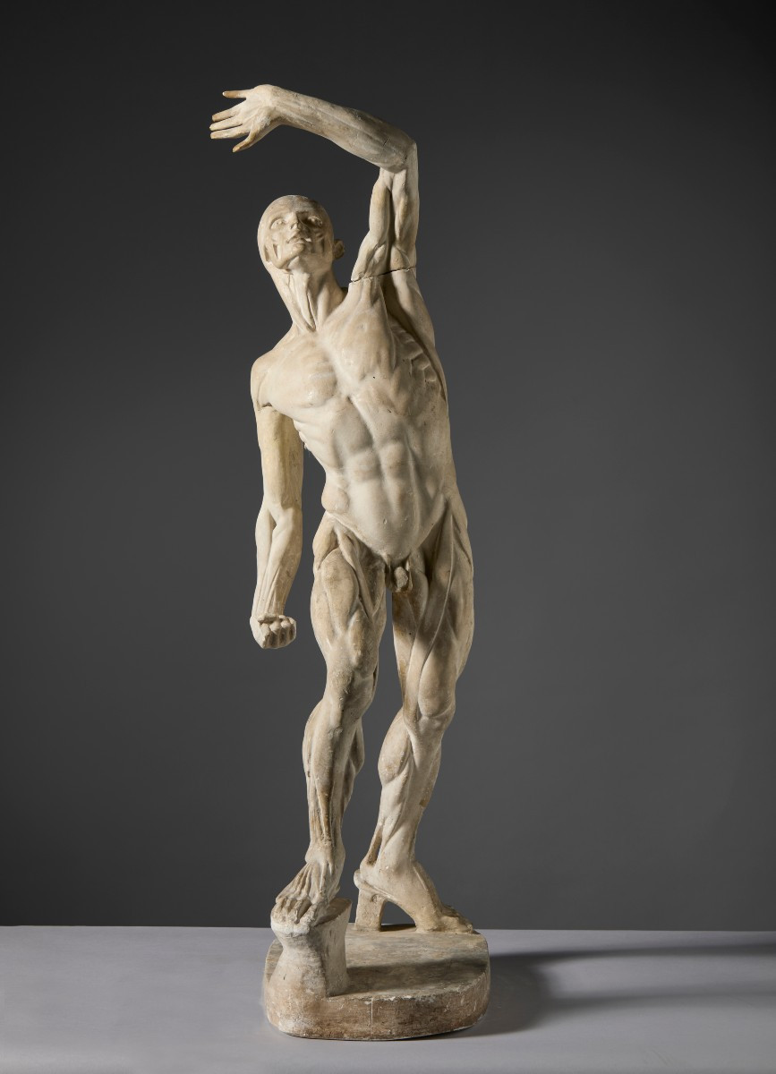 Da Jacques - Eugène Caudron ( 1818-1865) -  “Ecorchè” Scorticato con braccio alzato-photo-4