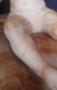 1554815-683444aa8fdf9.jpg