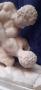 1825142-6ab0f7885bbc6.jpg
