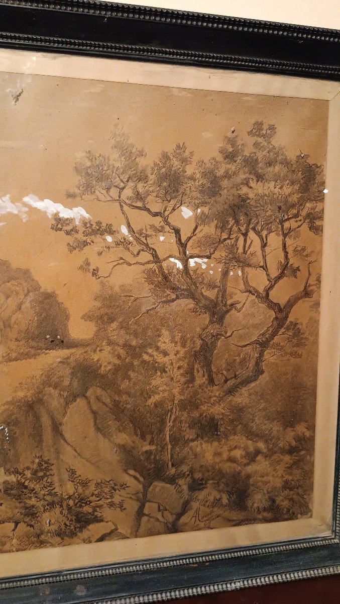 Grande dipinto paesaggio,tecnica mista biacca ,XIX secolo-photo-4