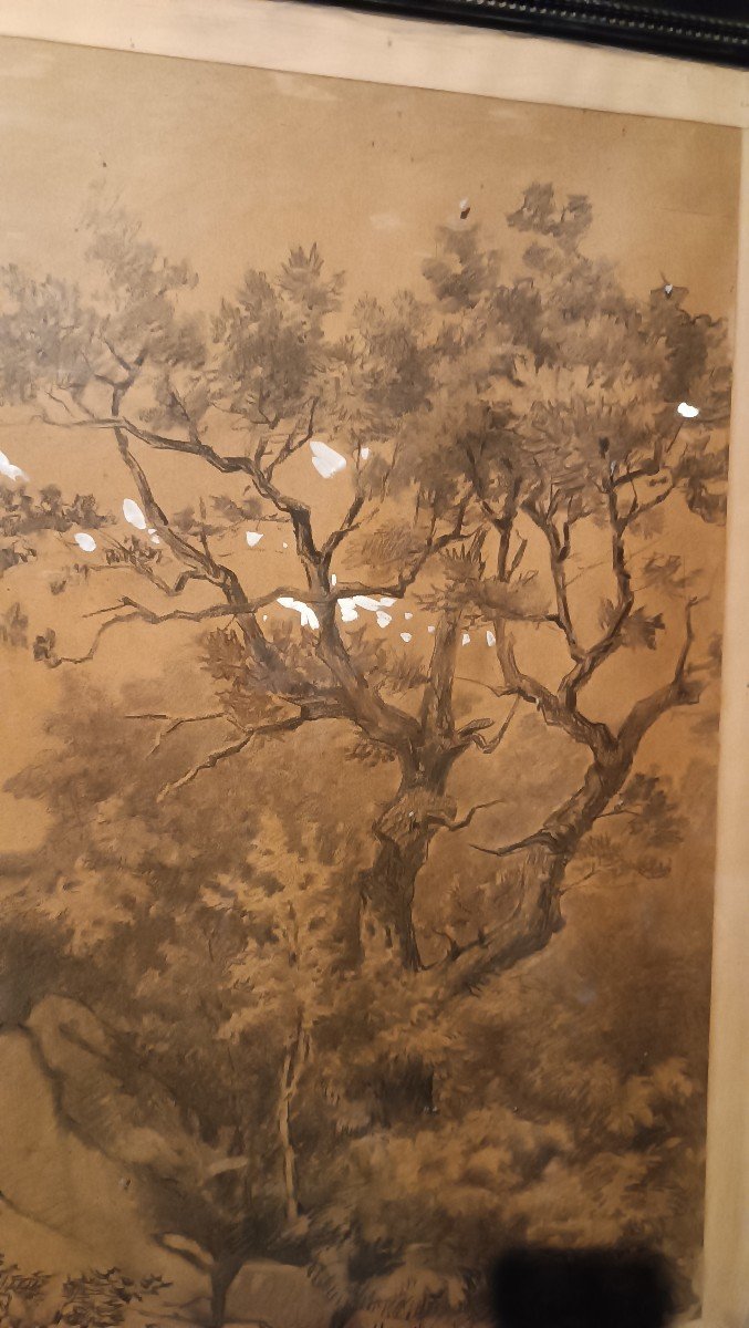 Grande dipinto paesaggio,tecnica mista biacca ,XIX secolo-photo-1