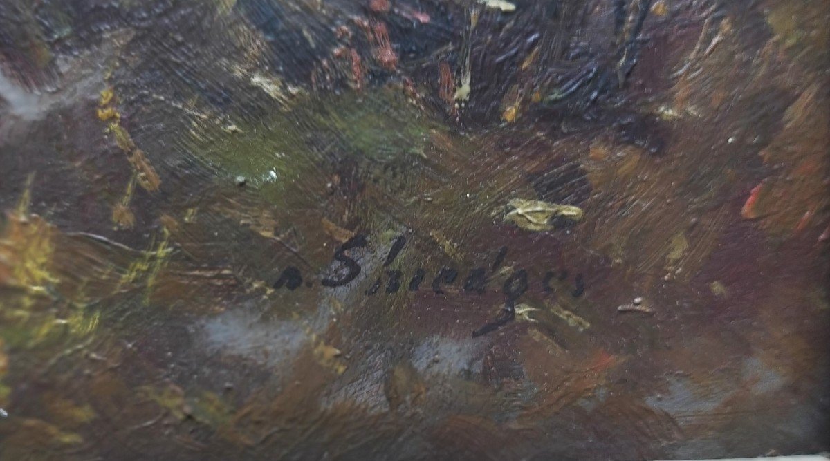 Dipinto olio su tavoletta xix secolo firmato P. Shiedges"-photo-1