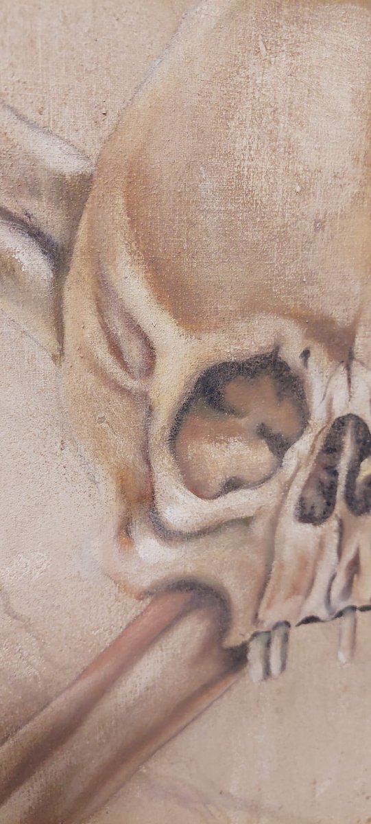 Memento Mori grande dipinto a tempera su tela XVIII secolo .Italia-photo-4