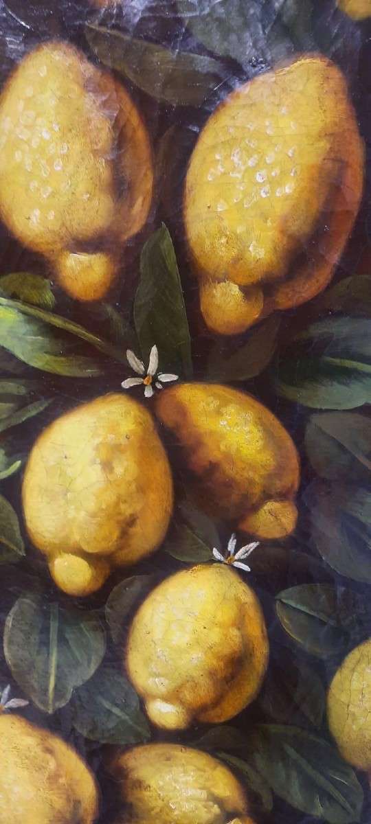 Dipinto olio su tela, limoni ,stile XVII secolo , pittore italiano -diametro 100 cm-photo-1