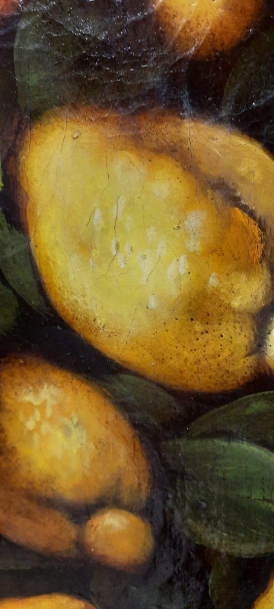 Dipinto olio su tela, limoni ,stile XVII secolo , pittore italiano -diametro 100 cm-photo-2
