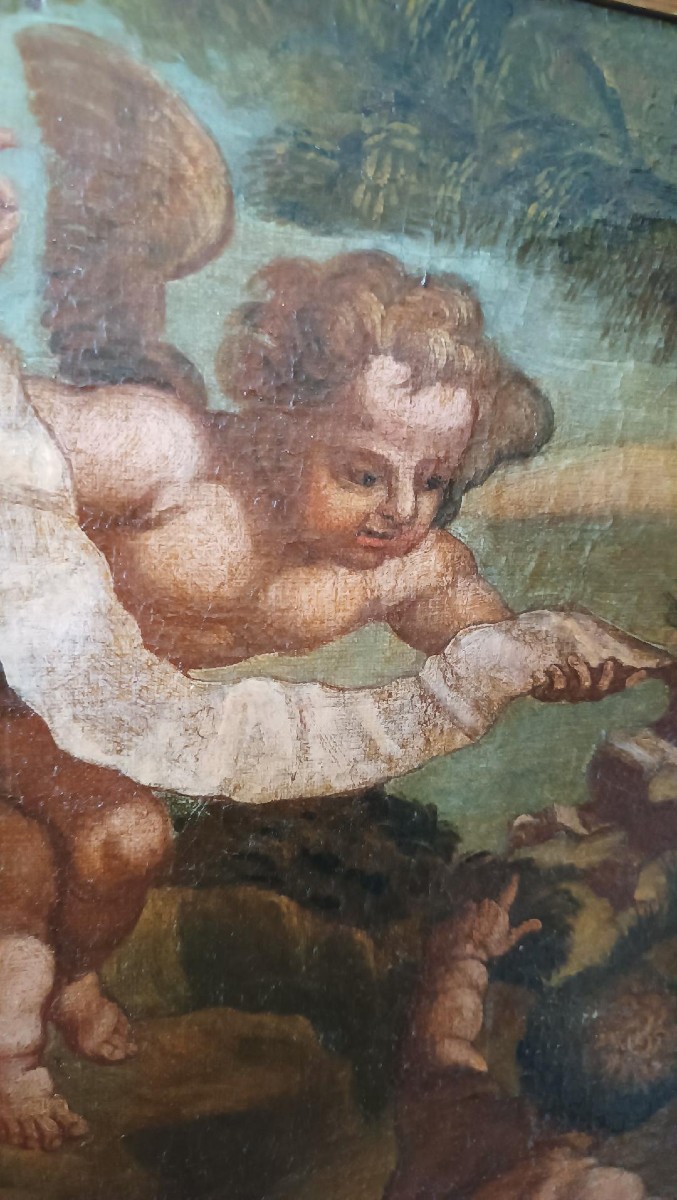 Antico dipinto olio su tela ,cherubini ,scuola italiana XVIII secolo-photo-5