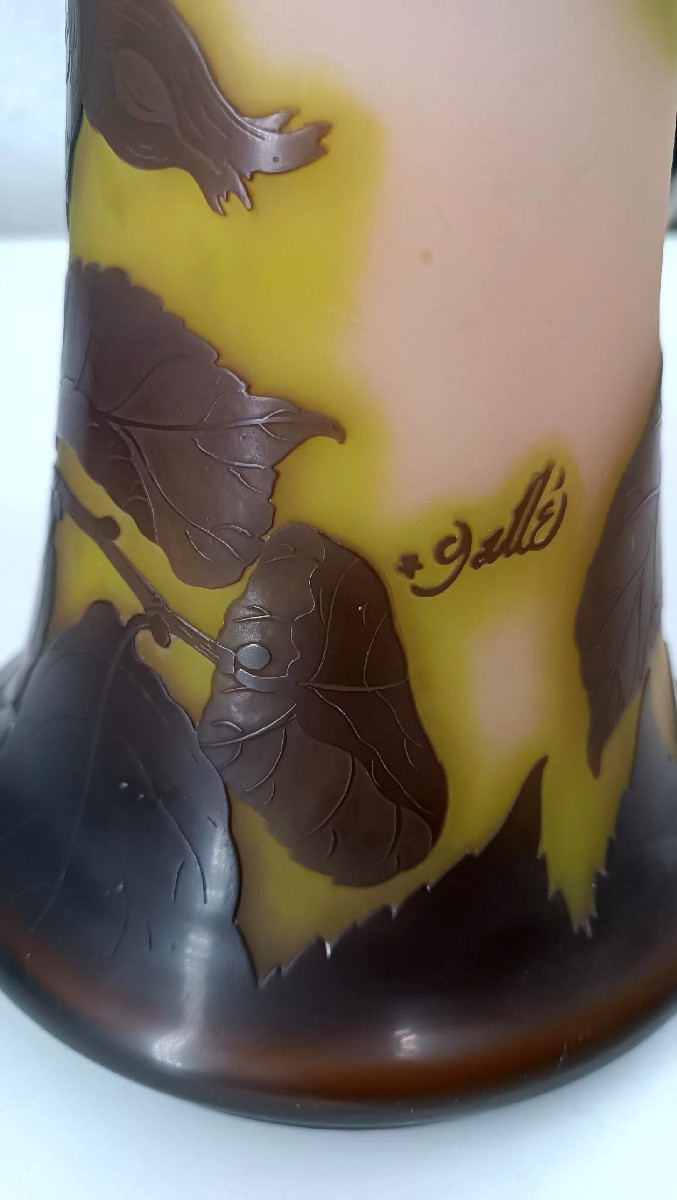 Vaso Galle' cameo Nancy Francia con stella primo ventennio del xx secolo h. 47 c-photo-4