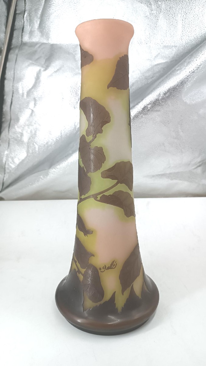 Vaso Galle' cameo Nancy Francia con stella primo ventennio del xx secolo h. 47 c-photo-6