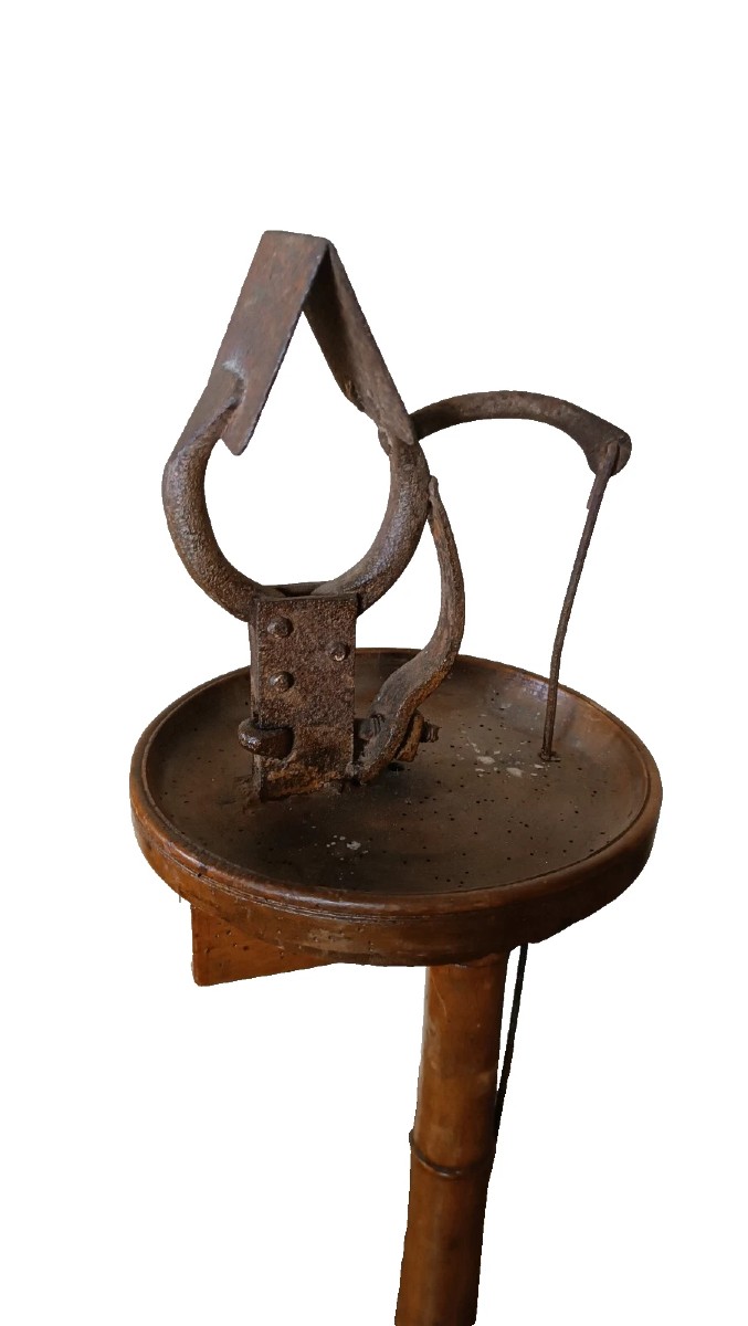 attrezzo lavoro antico per lavorazione guanti -Guantiera XIX secolo -noce ferro-photo-3