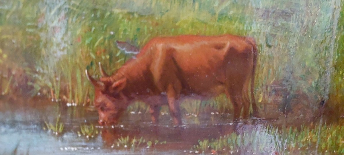 Dipinto olio su tavola - mucche - XIX secolo -photo-4